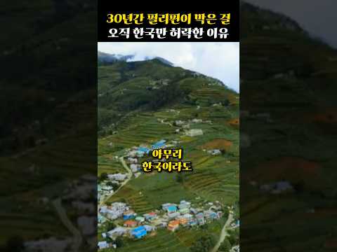 한국이 30년간 철벽치던 필리핀 광산을 복원 해결하자 전 세계 외국인들 모두가 난리 난 이유