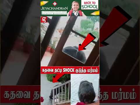 சாத்துங்க கதவை சாத்துங்க என்று அலறிய பெண் கதவை தட்டி Shock குடுத்த மர்ம உருவம்! hd