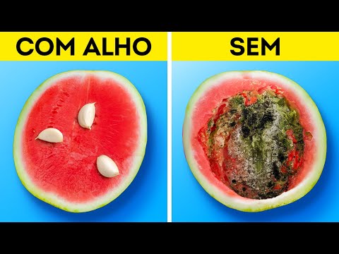 Truques comprovados de preservação de alimentos para mantê-los frescos por mais tempo! 🥗