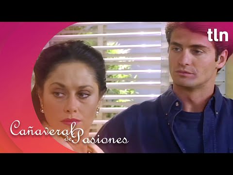 Pablo decide regresar a la ciudad junto con Gina | Cañaveral de pasiones 2/2 | Capítulo 38 | tln