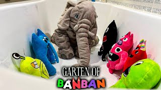 COACH PICKLES INTRODUCES BANBAN GARDEN TO BROTHER ELEPHANT!