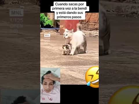 Tienes un hijo así jajaja 😂😂#humor #funny #fyp #fypシ゚ #fy #comedy #viralvideo #shorts #short