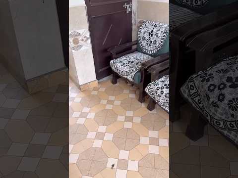 My lovely dog🤩🤣 #comedy #funny #funnyshorts #shortsvideo
