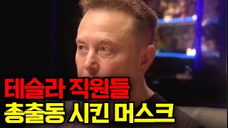 테슬라 직원들 총출동 시킨 머스크