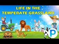 Climate and Agriculture in the Prairies and Veld