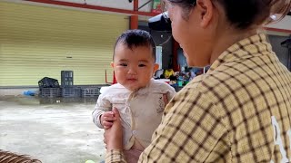 7 days of baby's farm harvest with mom, spring's daily life
