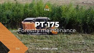 Video - FAE PT-175 - FAE 200/U forestry mulcher at work cleaning up the Sanford Lake lakebed in the US