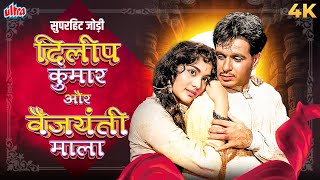 बॉलीवुड के सुपरहिट जोड़ी के गाने - Dilip Kumar & Vyjayanthimala Special - Video Jukebox - Hit Songs