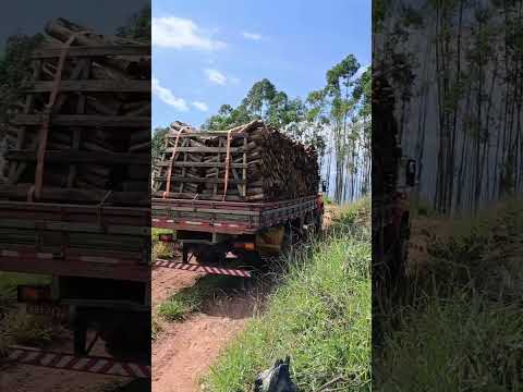chefrolle ainda faz a diferença no agro #chefrolle #raridade #caminhão #agro