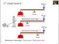 Exploring Lever Systems in Human Anatomy