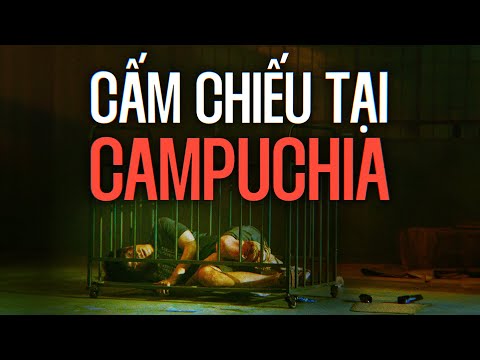 ĐƯỜNG DÂY LỪA ĐẢO ở ĐÔNG NAM Á đáng sợ ra sao? — NO MORE BETS