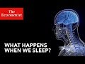 Understanding Sleep and Its Effects