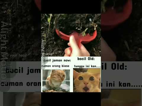 jadi kangen bangsus : ( #fypyoutube #memecringe #memengakakkocak #cat #kucing #nostalgia