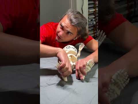 💥 ¡Esto es lo que pasa cuando el QUIROPRÁCTICO cuida de mi hijo!