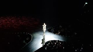 ✨ Starlight 🌟 Express 🛼 TdoT 2025 - Showausschnitt Pearl