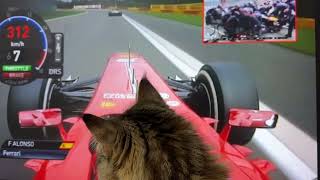 Cheolbae enjoys a racing car.