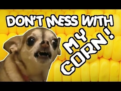 ☺ America's Funniest Home Videos Part 31 | OrangeCabinet