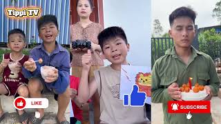 Tổng Hợp Các Video Hay Nhất Kênh Tippi TV Phần 7 - Tippi TV #tippitv