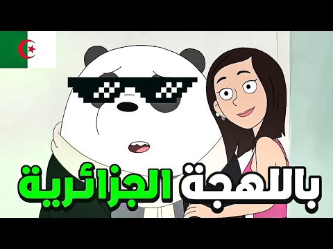 تحشيش الدببة الثلاثة 😂💥🇩🇿 | باندا تزوج ؟؟