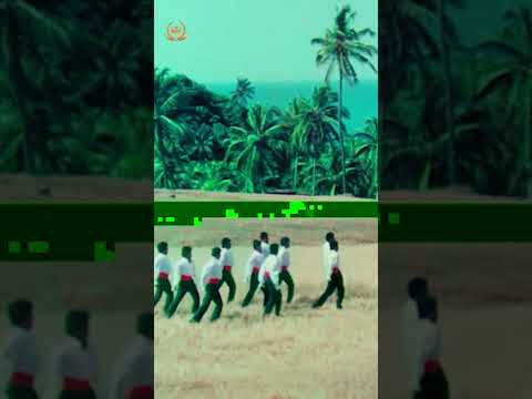 மாறுகோ மாறுகோ - Video Song | Vettri Vizhaa | Kamal Haasan | Rajani | Ilaiyaraaja #marugomarugo