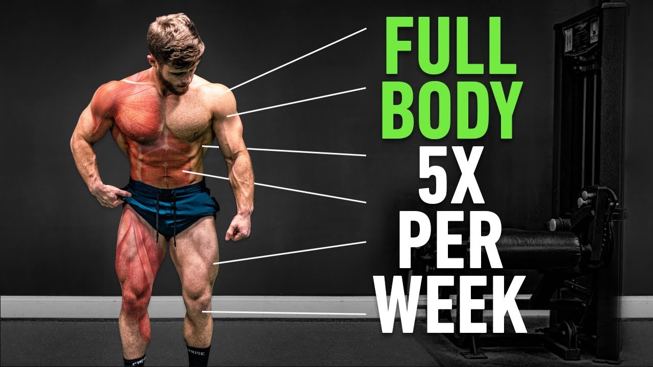 Full Body 5x Per Week: Why High Frequency Training Is So Effective #04
