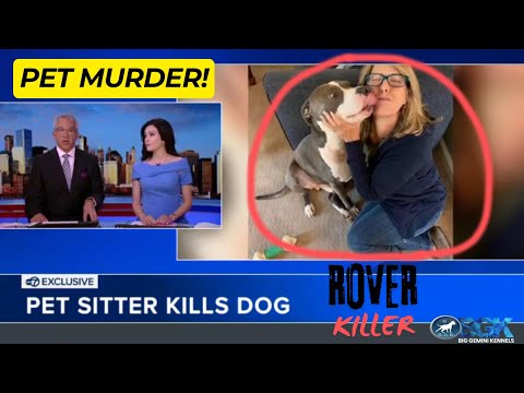 Dog Lover's Nightmare: Dog sitter shoots & kills couple's beloved pitbull