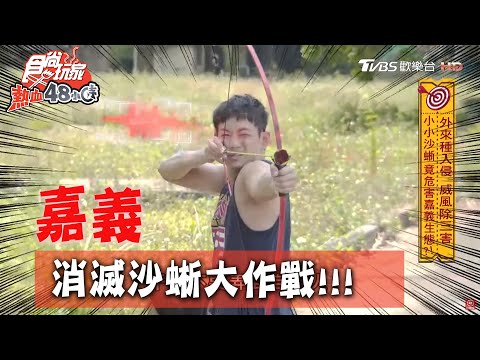 【嘉義】消滅沙蜥大作戰！威風兄弟變身神射手【食尚玩家熱血48小時】20200511 (2/4)