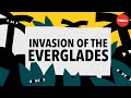 Invasive Species and Conservation in the Everglades