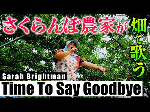【農家ソプラノ歌手】軽トラの上で歌うTime To Say Goobye  さくらんぼに聴かせて美味しくさせるぞ【しおたん】