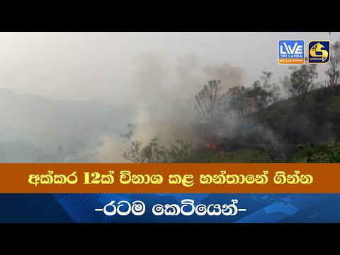 අක්කර 12ක් විනාශ කළ හන්තානේ ගින්න -රටම කෙටියෙන්