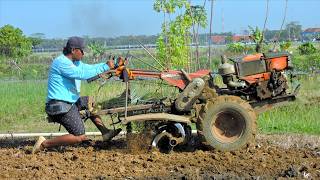 Power Tiller Hand Tractor Working Hard Tilling Old Raised Beds
