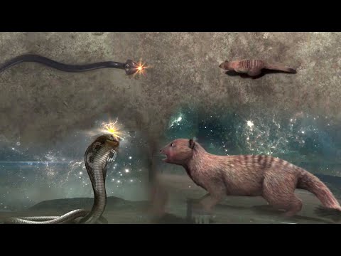 рд╕рдВрдХрдЯ рддреЛ рджреЛрдиреЛрдВ рддрд░рдл рд╣реИ рдЕрдм рджреЗрдЦрддреЗ рд╣реИ рд╡рд┐рдЬрдп рдХрд┐рд╕рдХреА рд╣реЛрдЧреА | Bhakti Video