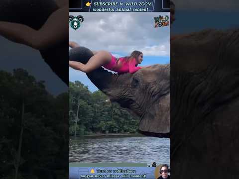 20 AMAZING Animal Clips You MUST See! ⚡ WILD ZOOM #animals #animalshorts  #animalclips  #wildlife