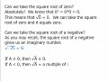 Understanding Square Roots and Their Properties