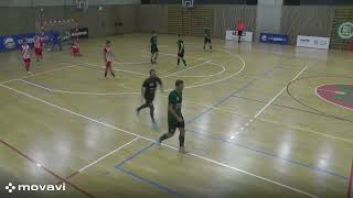 ŽABINŠTÍ VLCI BRNO - FTZS LIBEREC 5:6 (1:4)