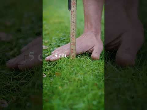 How SHORT GRASS can you SCYTHE? #shorts