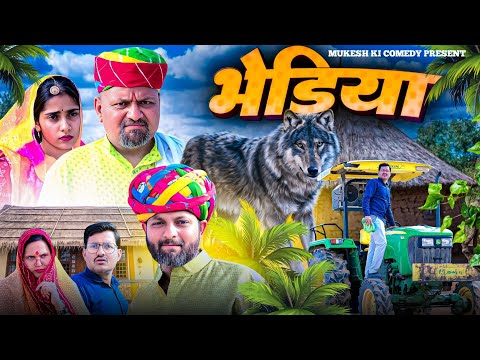 भेड़िया // rajasthani haryanvi comedy // mukesh ki comedy