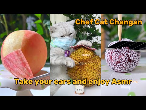 Wear headphones and enjoy Changan's Amsr #catsofyoutube #asmr #food