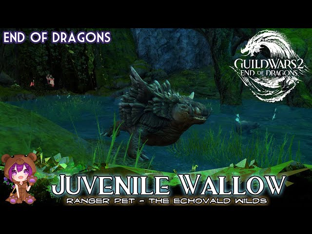 GW2 - Juvenile Wallow Ranger pet