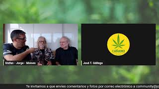 ¡Conoce los secretos detrás de la traducción de ¡Cultivamos cannabis!