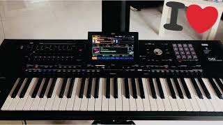 Korg Pa5x - Sar ke late džava