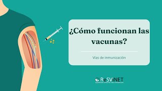 Cómo funcionan las vacunas: explicado en 4 minutos