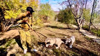 видео