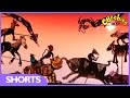 Animals and the New Year Race