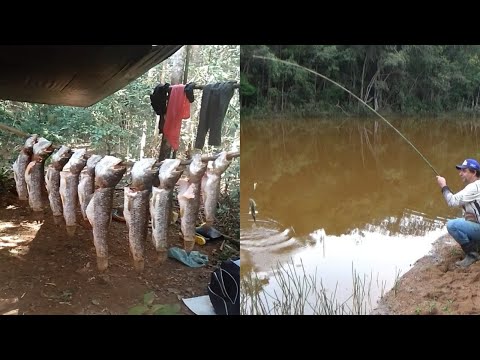 Acampamento raiz, com pesca caipira e um frito de traíra