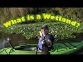 Wetland Characteristics and Functions