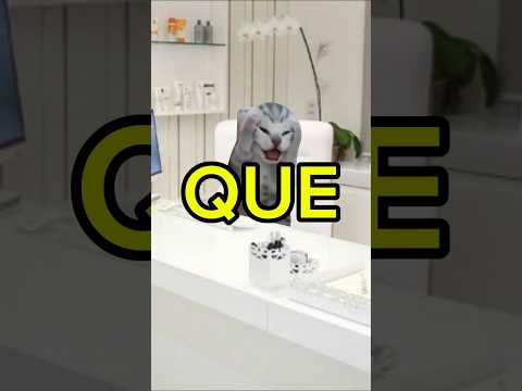 eu vou fazer o QUE? #comedy #rir #memes #gatos #videosengracados