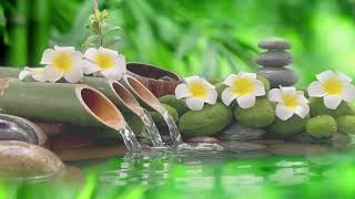 Music for Good Sleep🌿Cure Insomnia, Reduce Anxiety & Deep Relaxation| Stress Relief & Healing Sounds