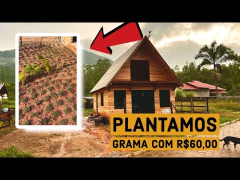PLANTAMOS GRAMA NO NOSSO SITIO MODO POBRE [Weligton silva]