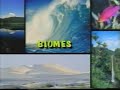 Plant Processes and Biomes Assessment